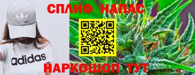 индика Канаш